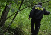 Szczęśliwy finał poszukiwań mężczyzny zagubionego w lesie