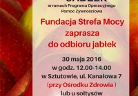 Dystrybucja jabłek w Sztutowie (30. maja 2016)