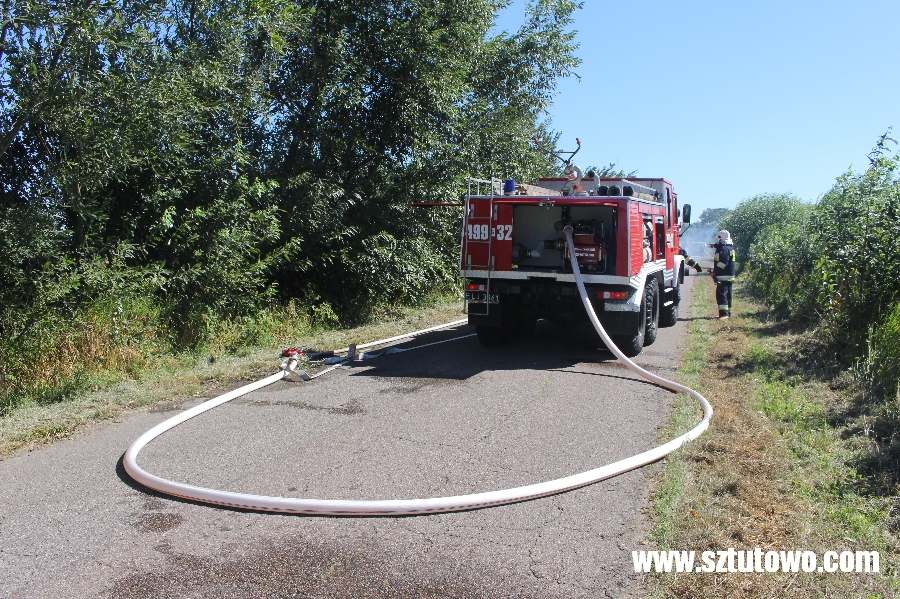 Interwencje strażaków z OSP Sztutowo, fot. 1/19