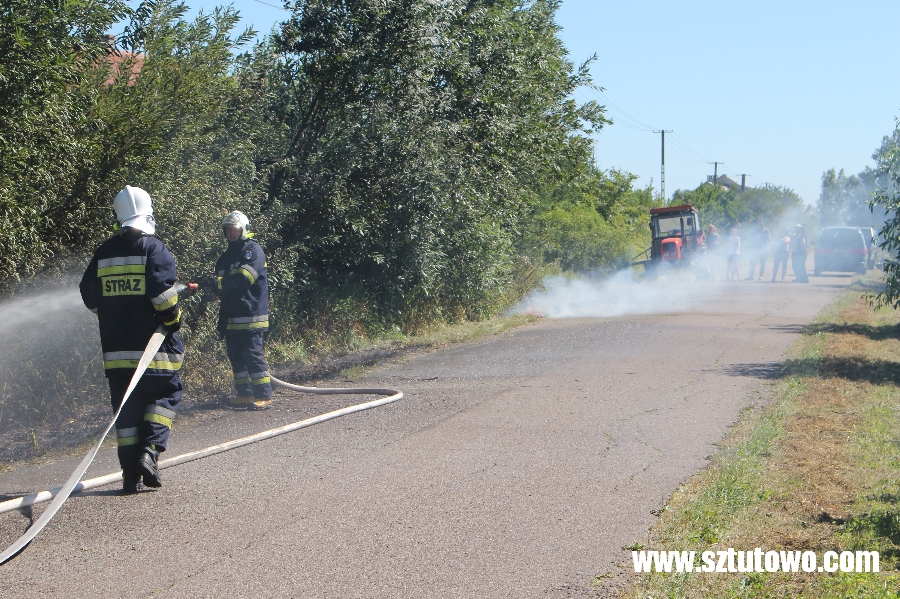 Interwencje strażaków z OSP Sztutowo, fot. 3/19