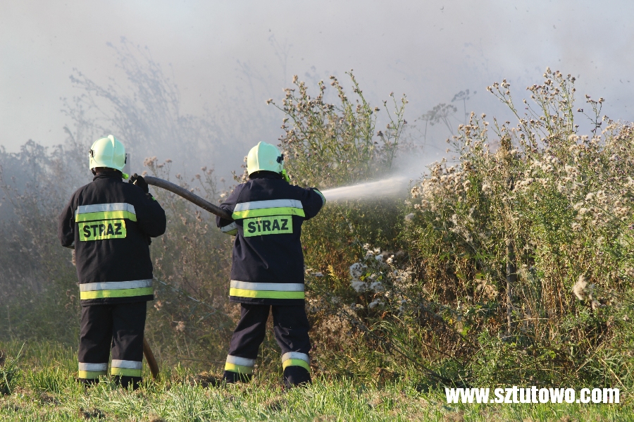 Interwencje strażaków z OSP Sztutowo, fot. 7/19