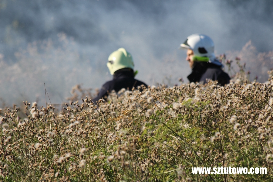 Interwencje strażaków z OSP Sztutowo, fot. 10/19