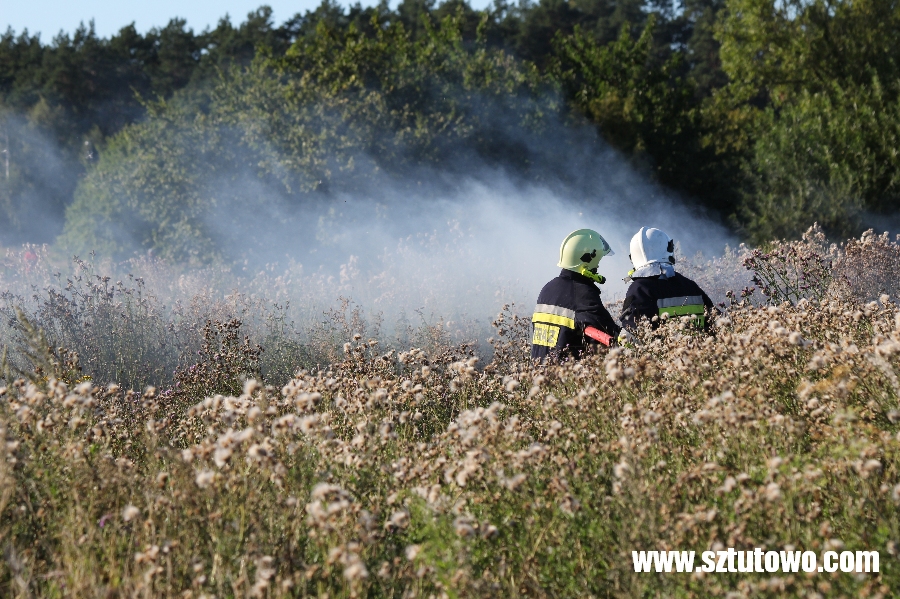Interwencje strażaków z OSP Sztutowo, fot. 11/19