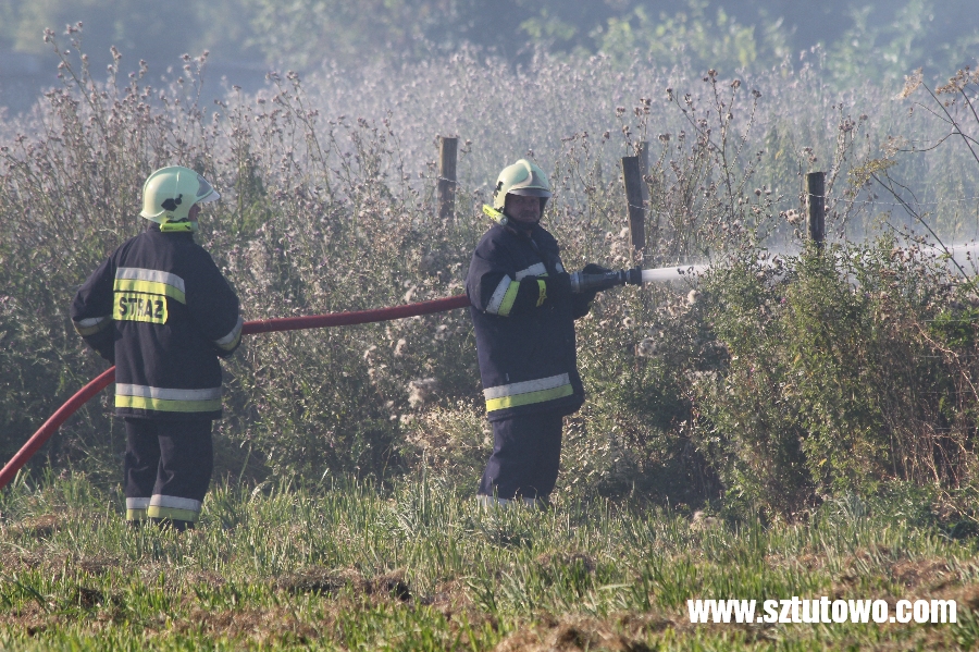 Interwencje strażaków z OSP Sztutowo, fot. 14/19