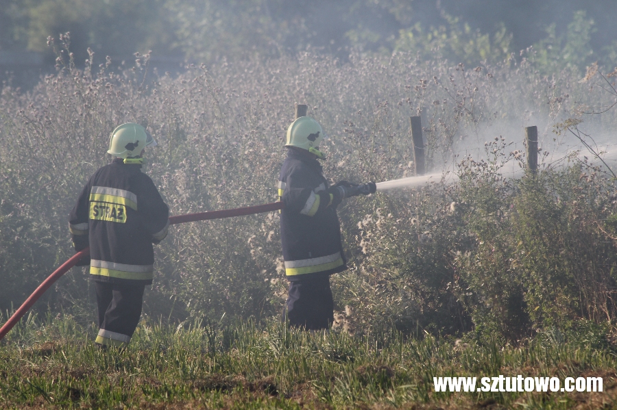 Interwencje strażaków z OSP Sztutowo, fot. 16/19